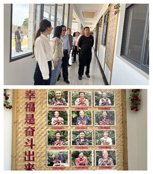 【對標(biāo)先進(jìn)拓視野 學(xué)思悟行促提升】韋莊鎮(zhèn)開展農(nóng)村基層黨組織“分類指導(dǎo)、爭先進(jìn)位”現(xiàn)場觀摩活動